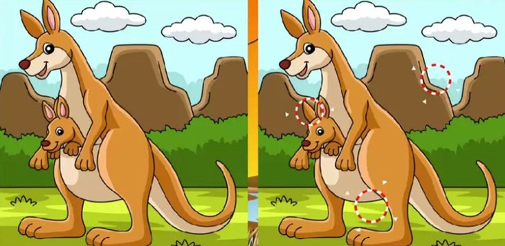 Thử tài tinh mắt: Con chó đang đứng ở đâu? - Ảnh 1.