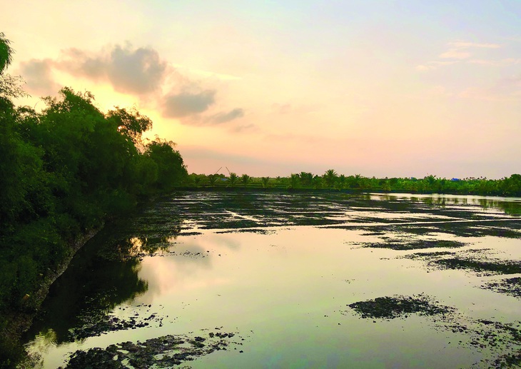 Đồng rươi Tứ Kỳ tháng 10.