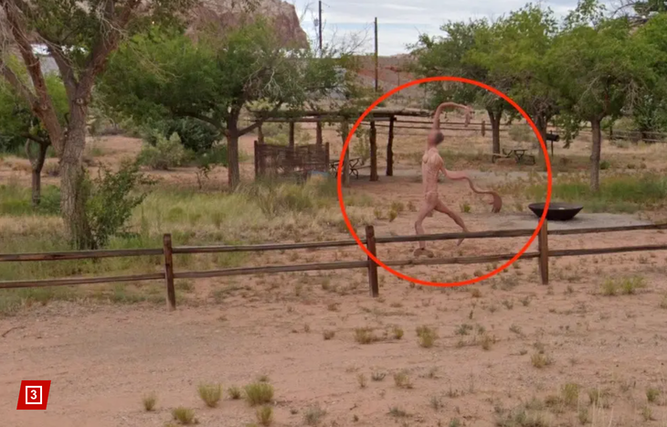 Sinh vật trần trụi, mềm nhũn khiến nhiều người đánh dấu chấm hỏi.