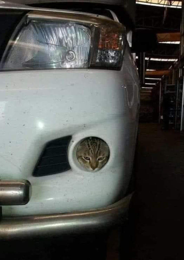 Một chiếc xi nhan chạy bằng... pa tê.