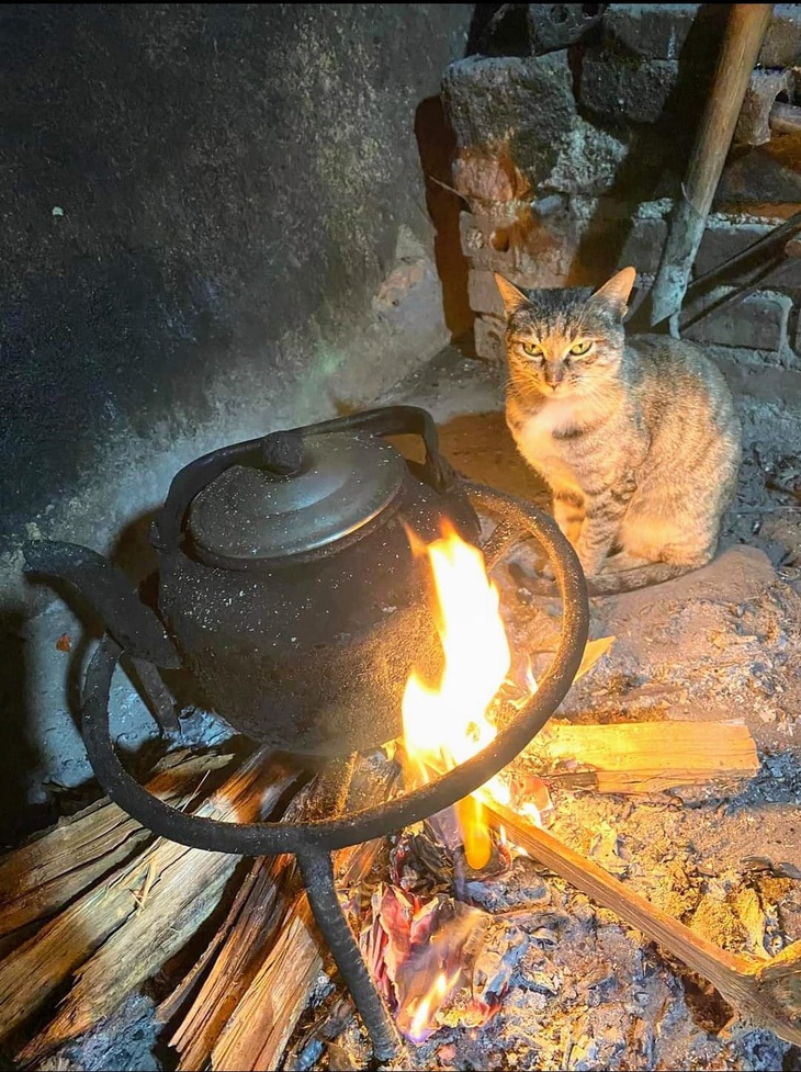 Đông đến rồi mà vẫn ế.