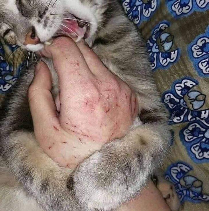 Yêu thương nào chẳng đớn đau.