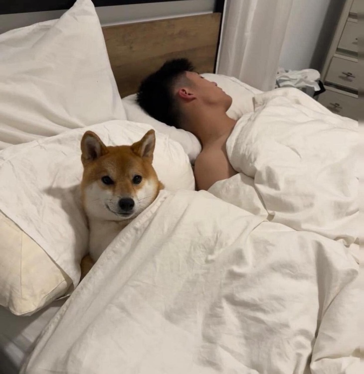 Chỉ sợ&nbsp;nước mắt&nbsp;rơi, chứ chồng bạn tui lượm phát một.