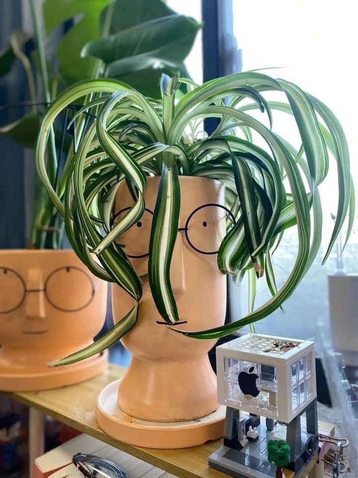 Một chiếc cây tri thức.