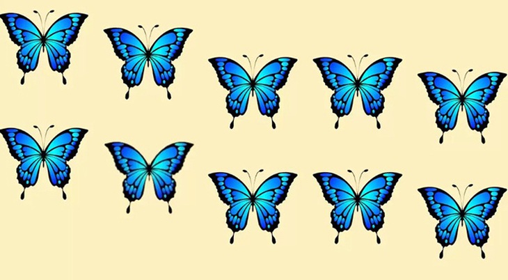 Thử tài tinh mắt: Con báo tuyết đang ẩn nấp ở đâu? - Ảnh 4.