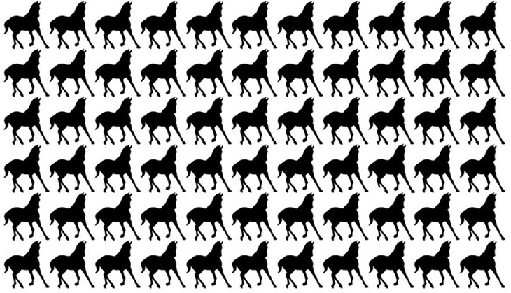 Thử tài tinh mắt: Khuôn mặt người đàn ông thứ hai ở đâu? - Ảnh 4.