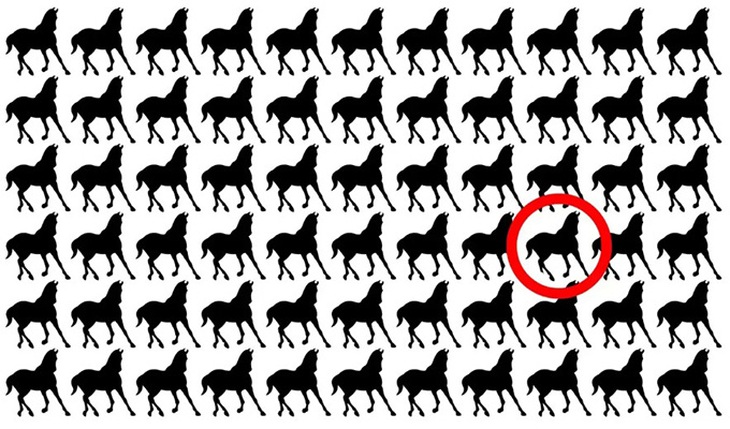 Thử tài tinh mắt: Khuôn mặt người đàn ông thứ hai ở đâu? - Ảnh 1.