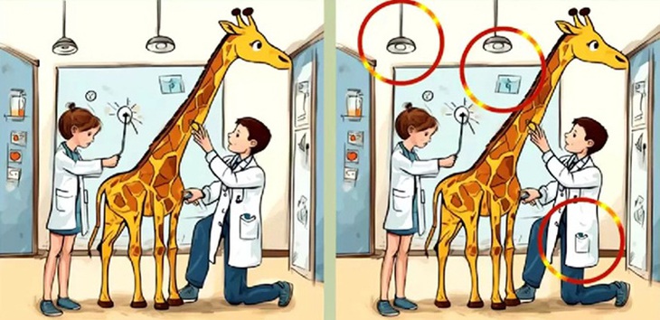 Thử tài tinh mắt: Con báo tuyết đang ẩn nấp ở đâu? - Ảnh 1.