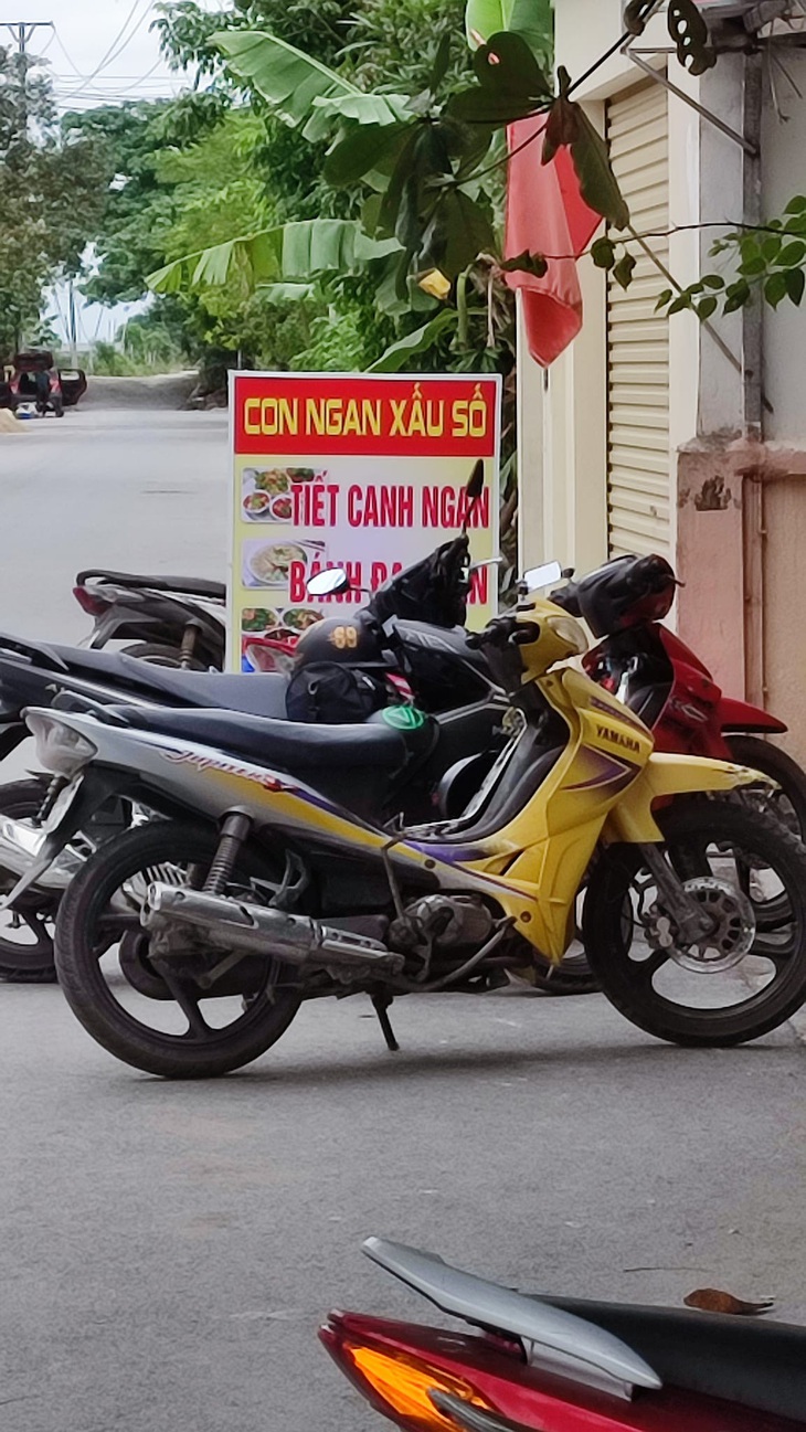 Có con ngan là "mát" bao tử.