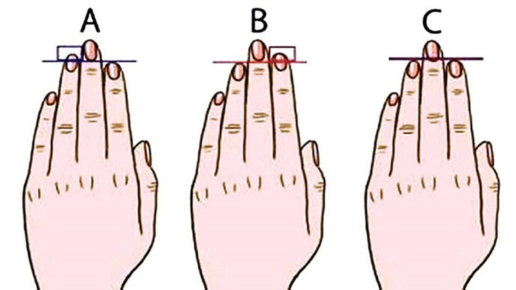 Độ dài ngón đeo nhẫn tiết lộ tính cách của bạn - Ảnh 1.