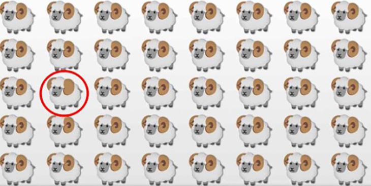 Người mắt kém không thấy con mèo trốn ở đâu?- Ảnh 4.