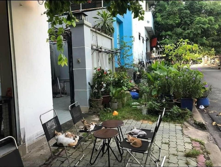 Dàn nhân viên "tay vịn" đang chờ khách.