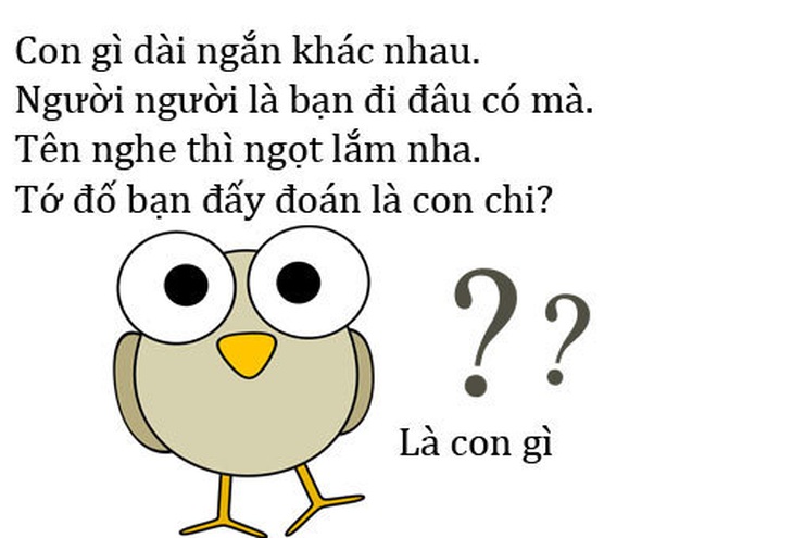 Con gì không có răng nhưng thức ăn sống, chín đều nhai được tuốt?- Ảnh 3.