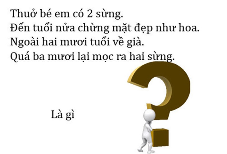 Con gì không có răng nhưng thức ăn sống, chín đều nhai được tuốt?- Ảnh 7.