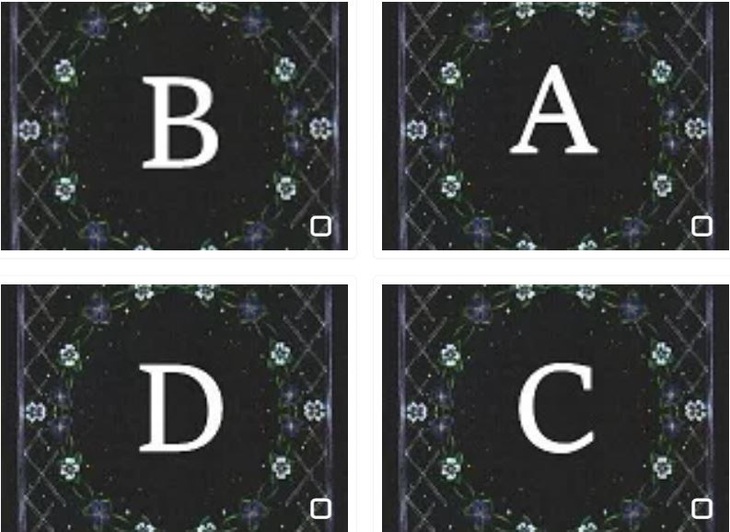 Quiz: Tài năng chưa được khai thác của bạn là gì?- Ảnh 1.