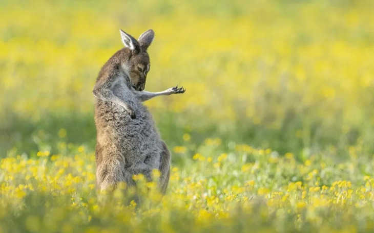 Chạy bộ 20km sau khi 'được' ly hôn chồng- Ảnh 4.