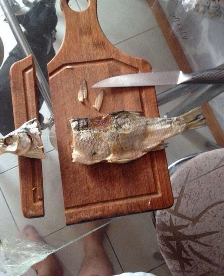 "Giận cá chém thớt" phiên bản đời thực. 