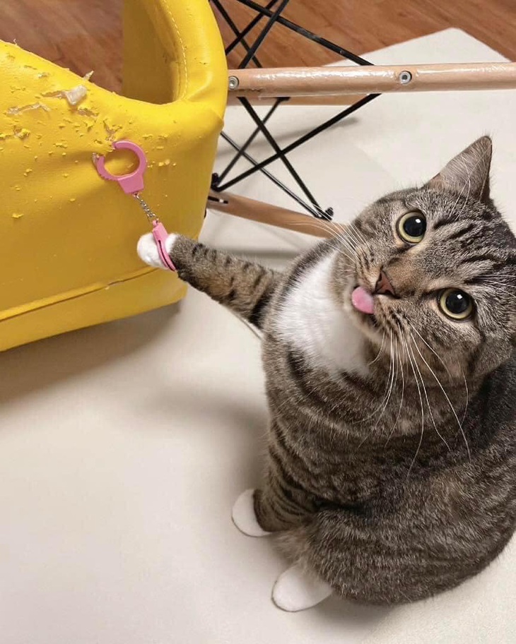 Em có làm gì sai...