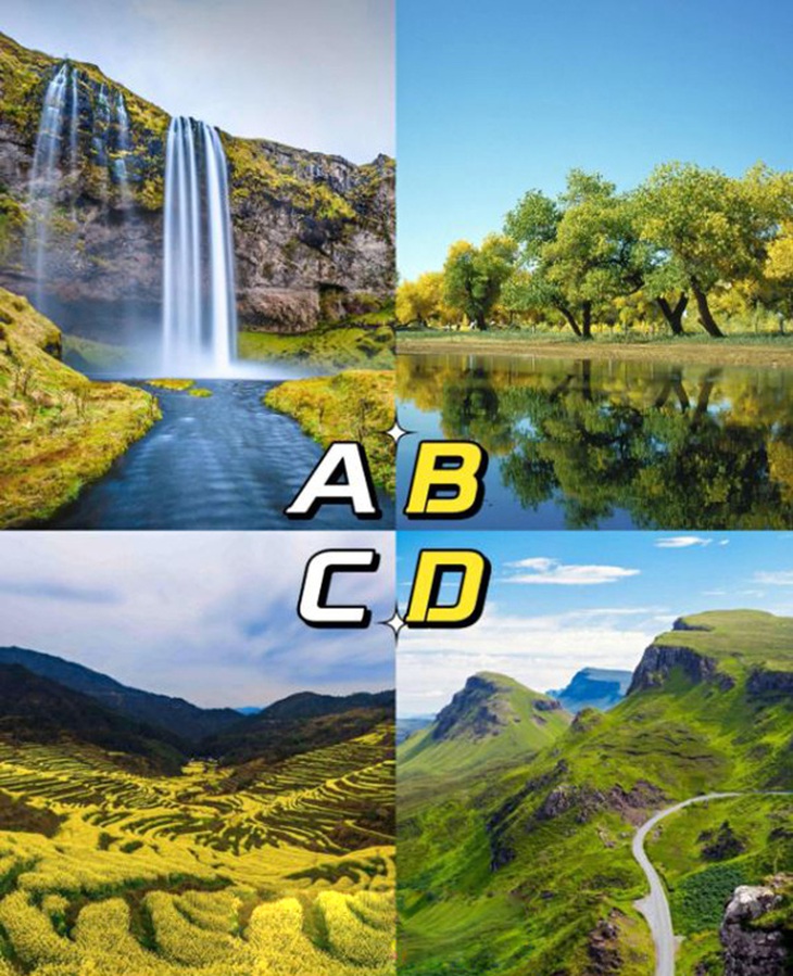 Ảo ảnh tiết lộ bạn có phải là người mạnh mẽ, lạc quan? - Ảnh 1.