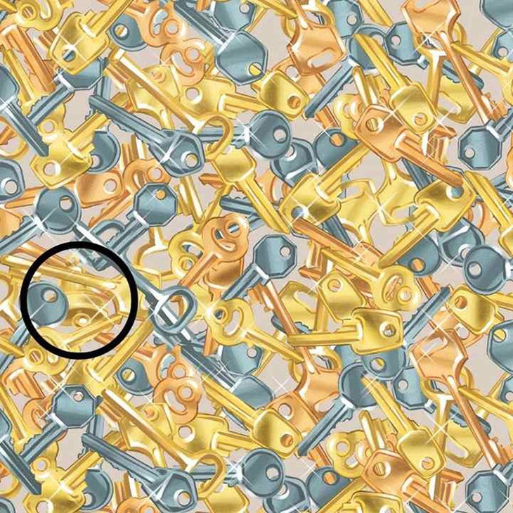 Chỉ người có IQ cao mới phát hiện ra con vẹt trong 11 giây - Ảnh 1.