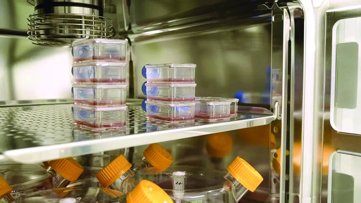 Máu tạo ra từ phòng thí nghiệm được lưu trữ tại phòng nghiên cứu của Đại học Bristol.  Ảnh: NHSBT