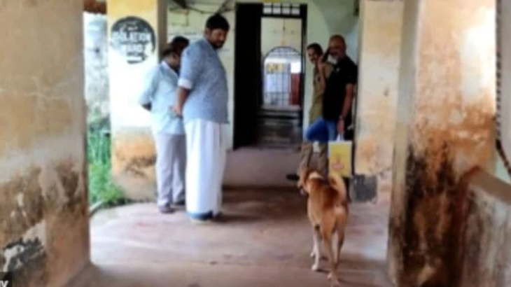 Chú chó được nhân viên bệnh viện cưu mang suốt nhiều tháng qua.