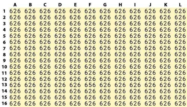 Mắt 10/10 mới thấy khuôn mặt người phụ nữ đang ẩn giấu ở đâu - Ảnh 4.