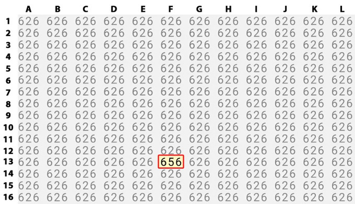 Mắt 10/10 mới thấy khuôn mặt người phụ nữ đang ẩn giấu ở đâu - Ảnh 1.