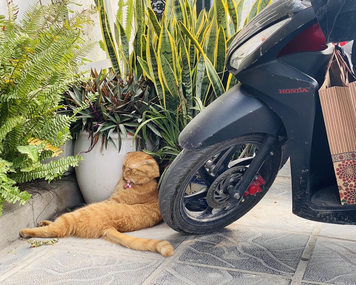 Mình cần công việc này đến vậy sao?