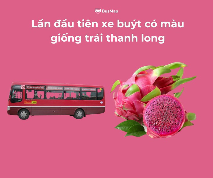 Vi vu cùng chiếc xe buýt có màu giống trái thanh long có được tính là 