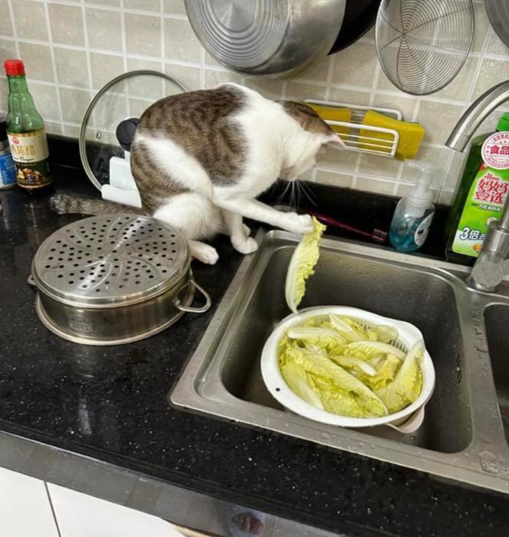 Việc gì cũng đến tay tao.