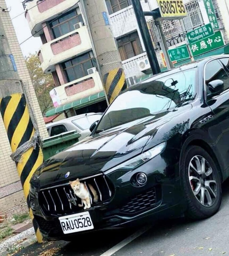 Xe mới đổi... logo.