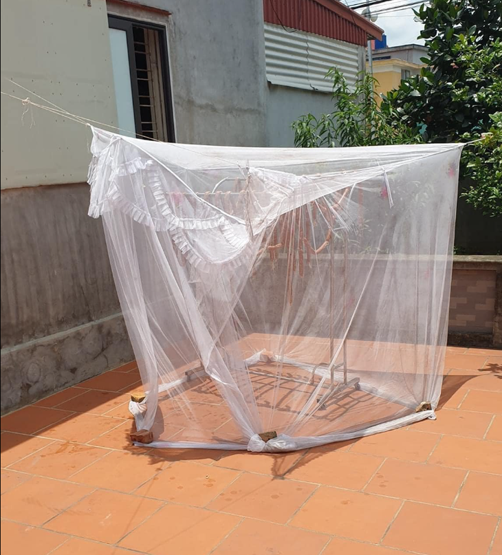 Tự dưng thấy Tết.