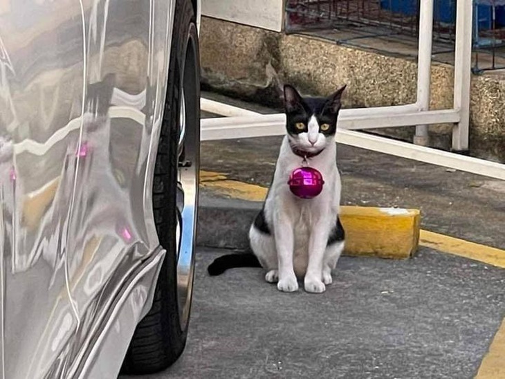 Christmas is coming to town.