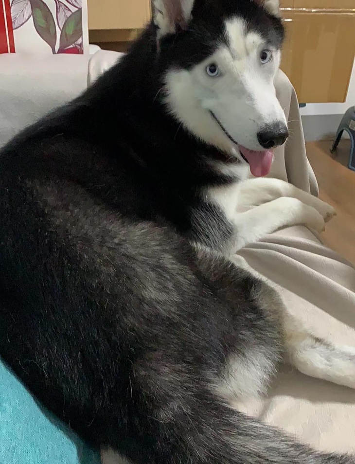 Anh kẻ eyeliner giùm em đi!