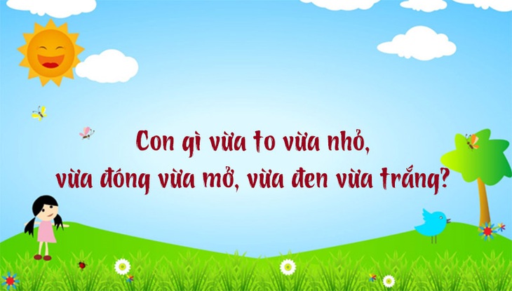 Câu đố hack não: Con gì đứng thì dùng chân, đi thì không dùng?- Ảnh 5.