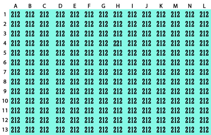 Thử tài tinh mắt: Người phụ nữ thứ 2 ở đâu?- Ảnh 5.