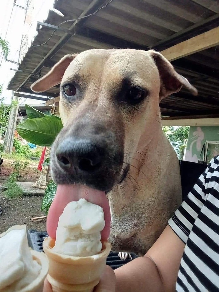 Cho một miếng thôi!