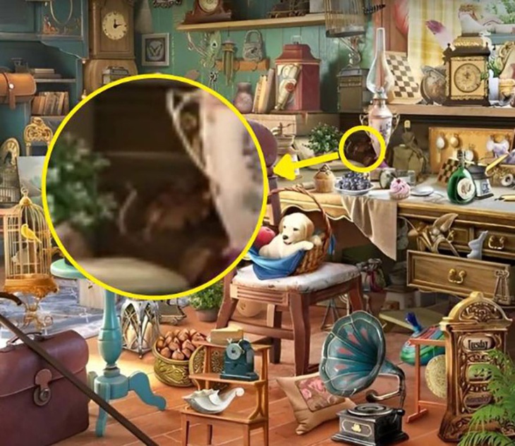 Mắt 10/10 có thấy 3 người phụ nữ ẩn giấu trong hình- Ảnh 4.