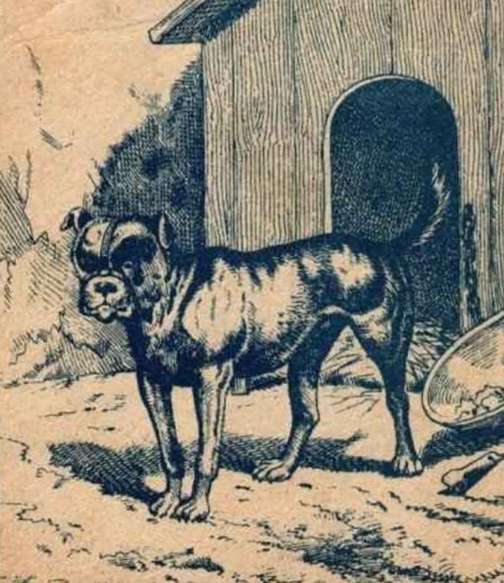 Thử tài tinh mắt: Khuôn mặt người đàn ông ẩn giấu ở đâu?- Ảnh 1.