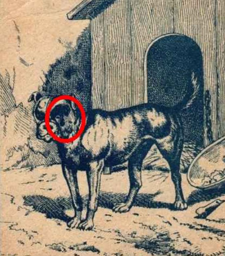 Thử tài tinh mắt: Khuôn mặt người đàn ông ẩn giấu ở đâu?- Ảnh 2.