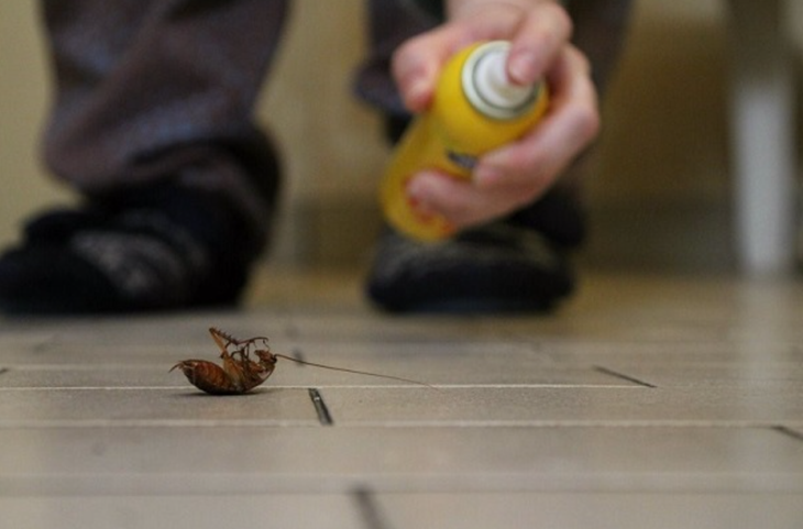 Suýt 'thổi bay' luôn căn hộ của mình chỉ vì diệt gián- Ảnh 1.