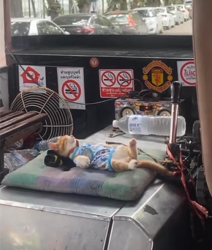 Chú lơ xe này lạ quá.