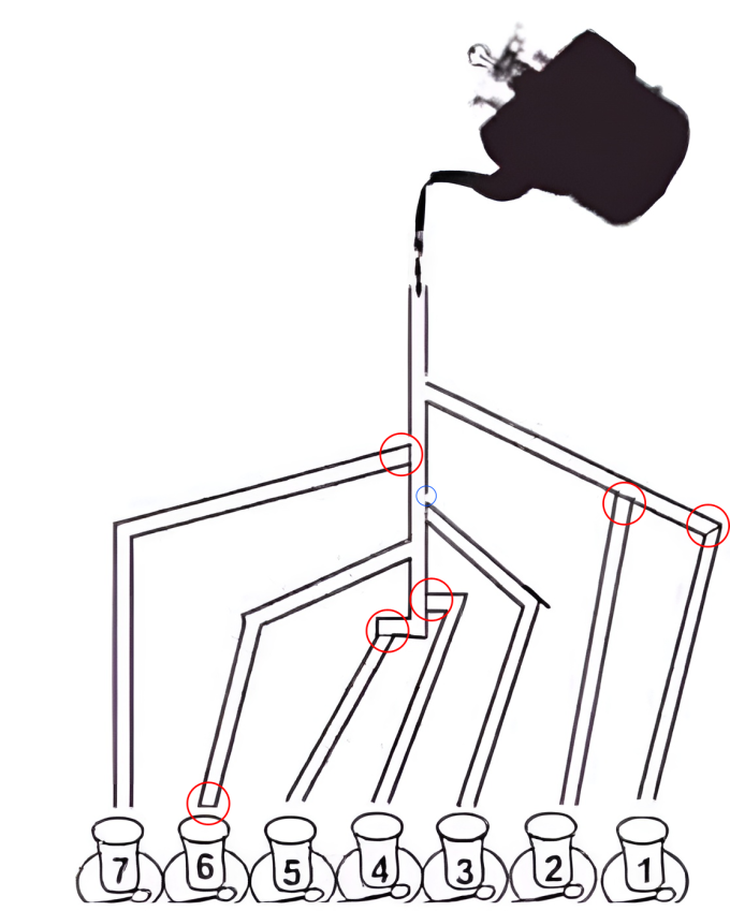 Thử tài tinh mắt: Khuôn mặt người đàn ông ẩn giấu ở đâu?- Ảnh 4.