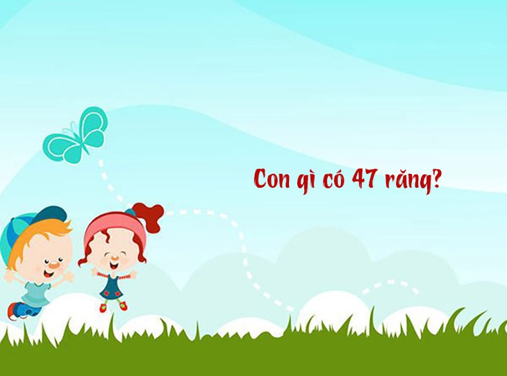 Câu đố hack não: Con gì có 47 răng?- Ảnh 1.