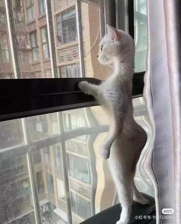 Anh thấy ba vòng của em thế nào?