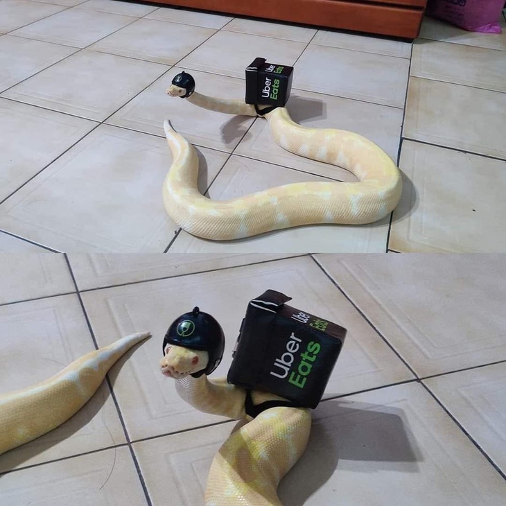 Chàng shipper siêng năng và vị khách may mắn.