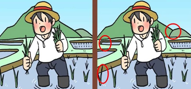 Thử tài tinh mắt: Khuôn mặt bí ẩn ở đâu?- Ảnh 6.