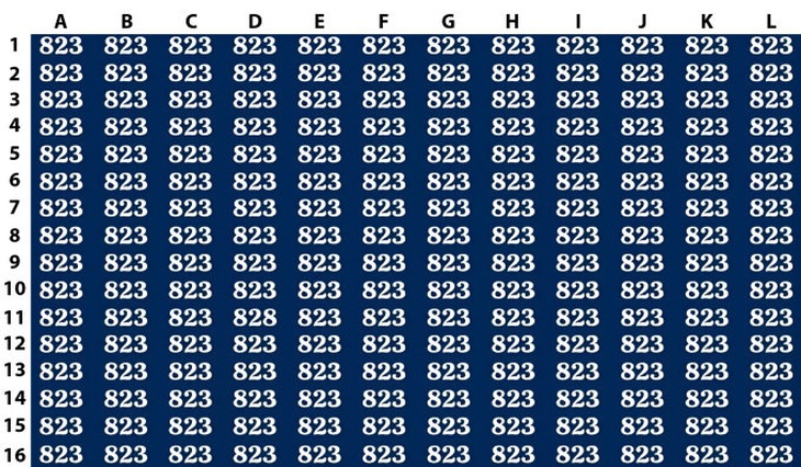 Mắt 10/10 mới thấy con thỏ đang ẩn nấp chỗ nào- Ảnh 3.