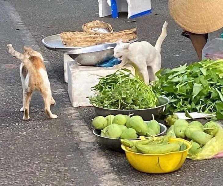 Mua thì mua không mua thì... biến!